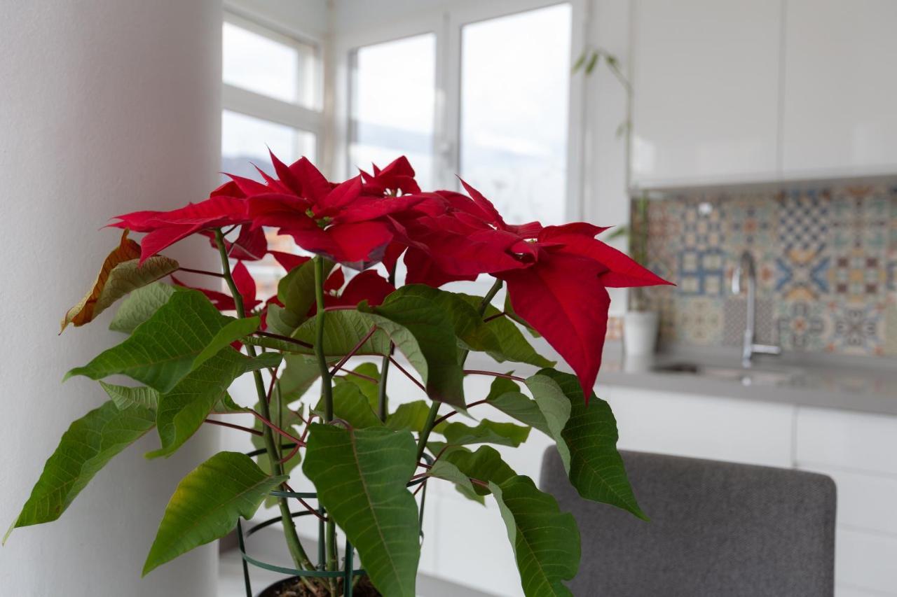 Apt Playa Y Montana Apartman Torremolinos Kültér fotó